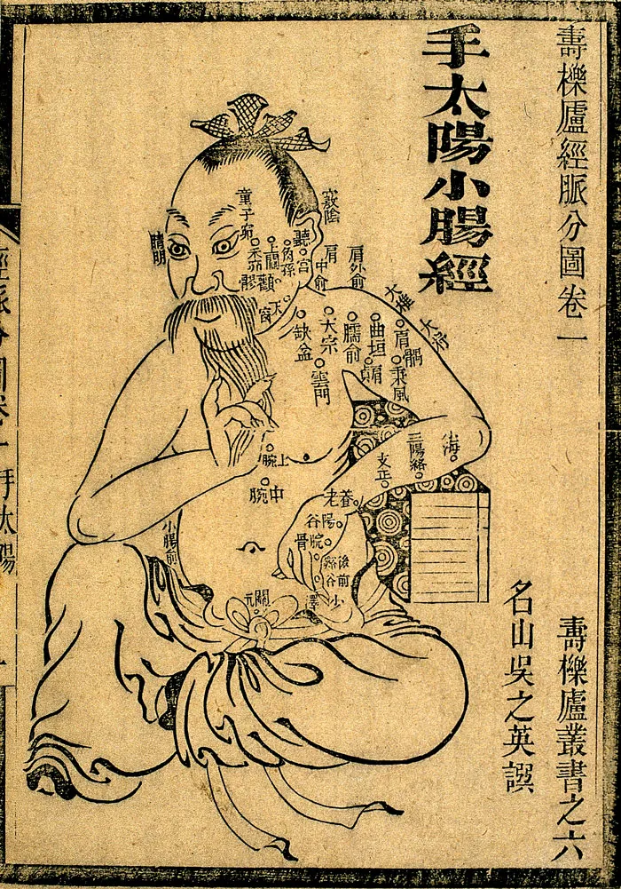 Acupunture_4_11zon