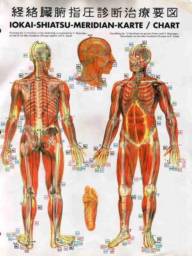 Shiatsu_3_11zon